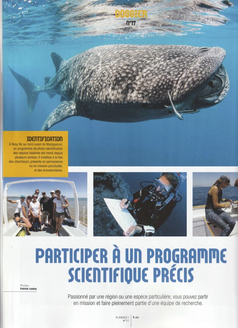 Photographie d'illustration d'un article sur le magazine Plongez ! sur les sciences participatives –  Programme de recensement des requins baleines à Nosy Bé (Madagascar)