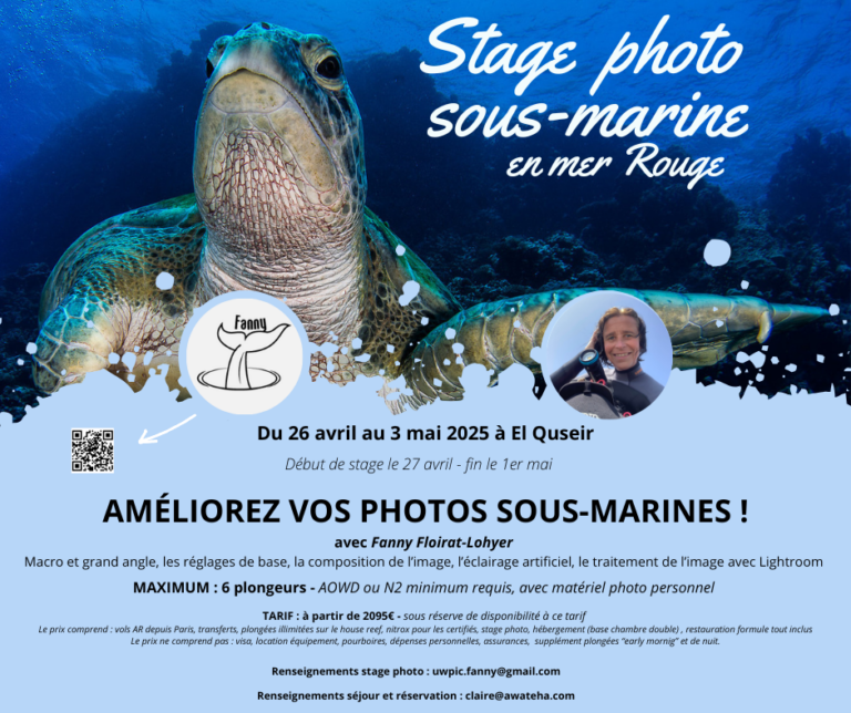 Lire la suite à propos de l’article Stage initiation et amélioration de vos photos sous-marines en séjour all-inclusive et plongées illimitées à l’hôtel Rohanou au sud d’El Qseir du 26 avril au 3 mai 2025.