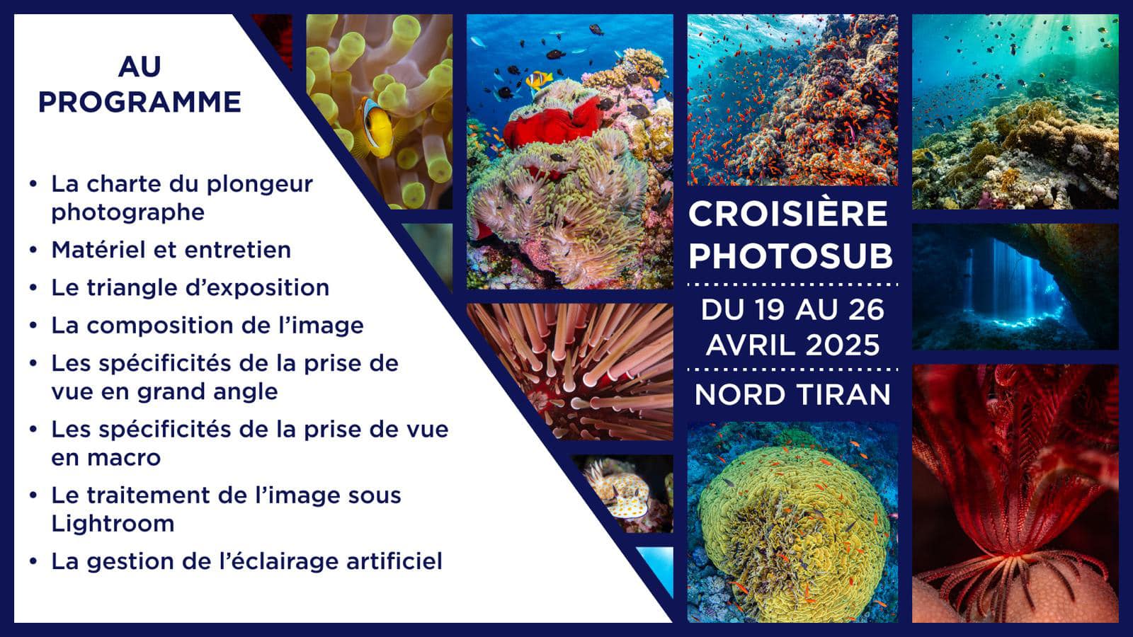 Lire la suite à propos de l’article Stage initiation et amélioration de vos photos sous-marines en croisière Nord – Ras Mohamed en mer rouge avec Seabase, du 19 au 26 avril 2025