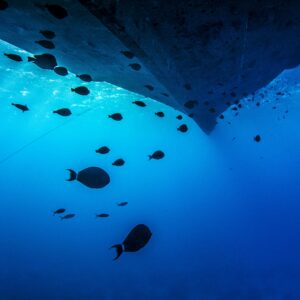 Sous le bateau