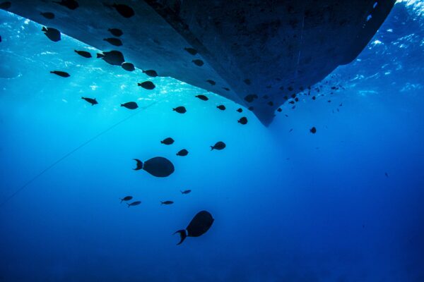 Sous le bateau